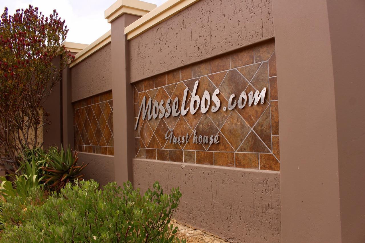 Mosselbos Guesthouse Self-Catering Great Brak River Exterior foto